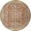 Dayhsaun Oriental Indoor Rug