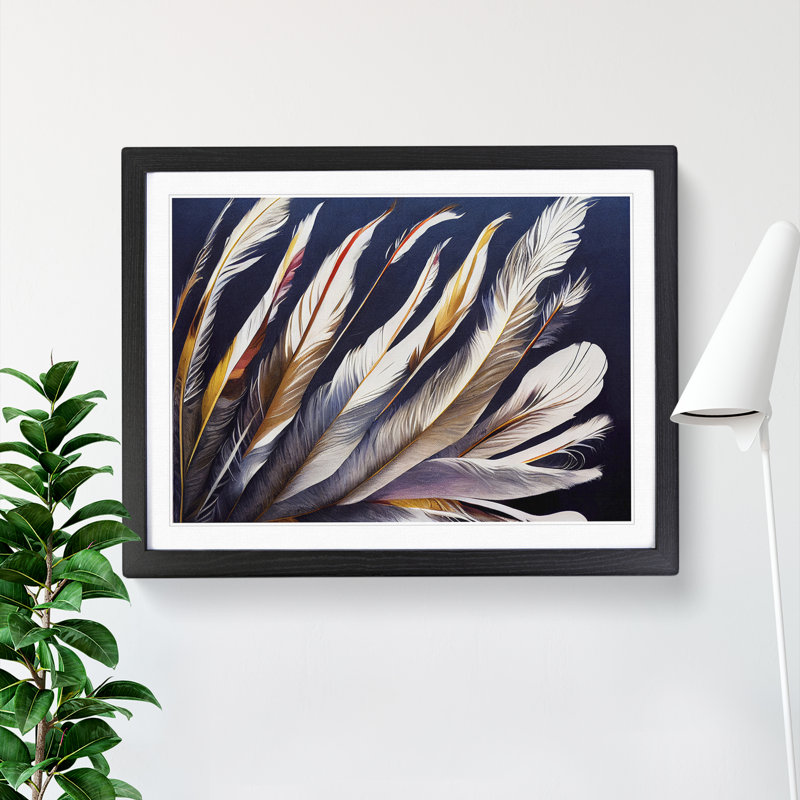 Euphoric Bird Feathers - Framed Print, 34cm H x 46cm W x 2cm D, Black