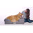 Orthopedic Polyester Pet Bed-1319334067-1319334073