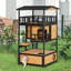 Maison de chat en bois jaune, utilisation extérieure, portes de secours, plateforme de saut et abri pour chatons
