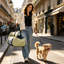 Pet Car Seat Bed-2130844745