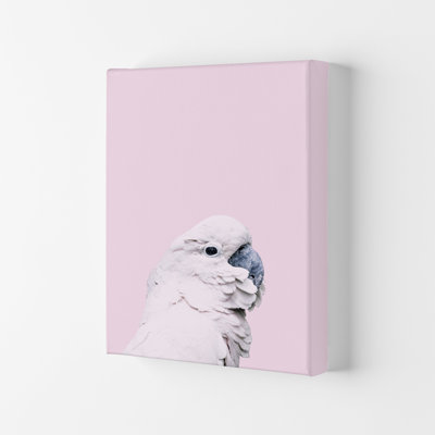 Pink Cockatoo 1 Piece Wall Art