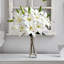 Arrangement floral de cendres dans un vase-1056556277