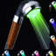 Rain Handheld Shower Head