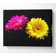 Pink And Yellow Gerbera Delight - Wrapped Canvas Print