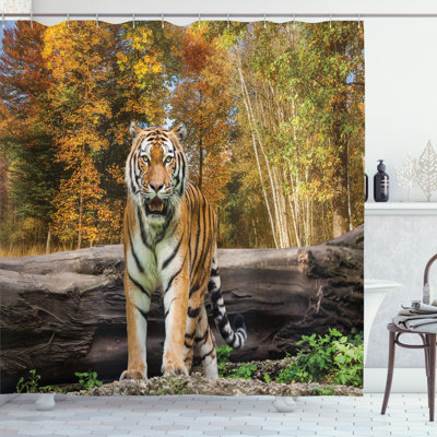 Illias Shower Curtain with Hooks Included
