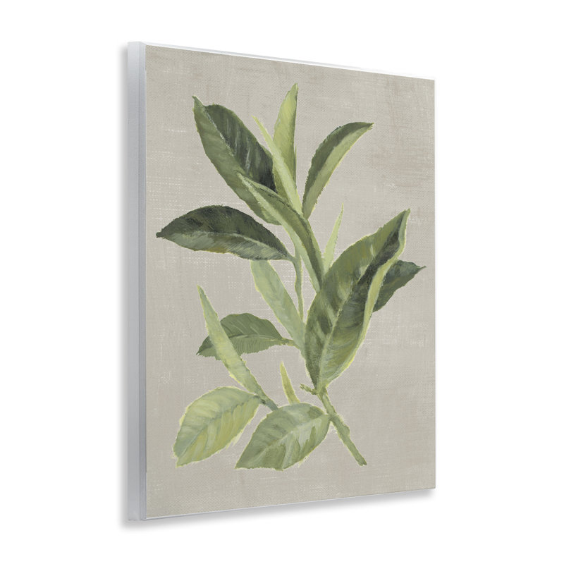 Plaque murale feuille de thé vert, design par Lanie Loreth