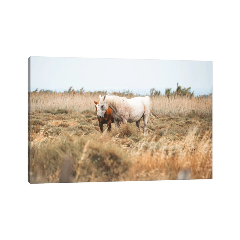 Camargue Wild Horses by James Vodicka - No Frame Gallery-Wrapped Canvas Giclée on Canvas