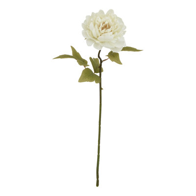 Arrangement