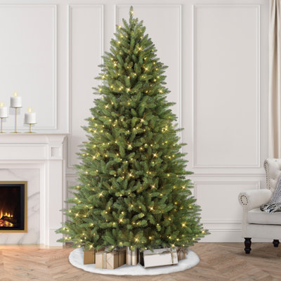 Fraser 90' H Lighted Artificial Christmas Tree