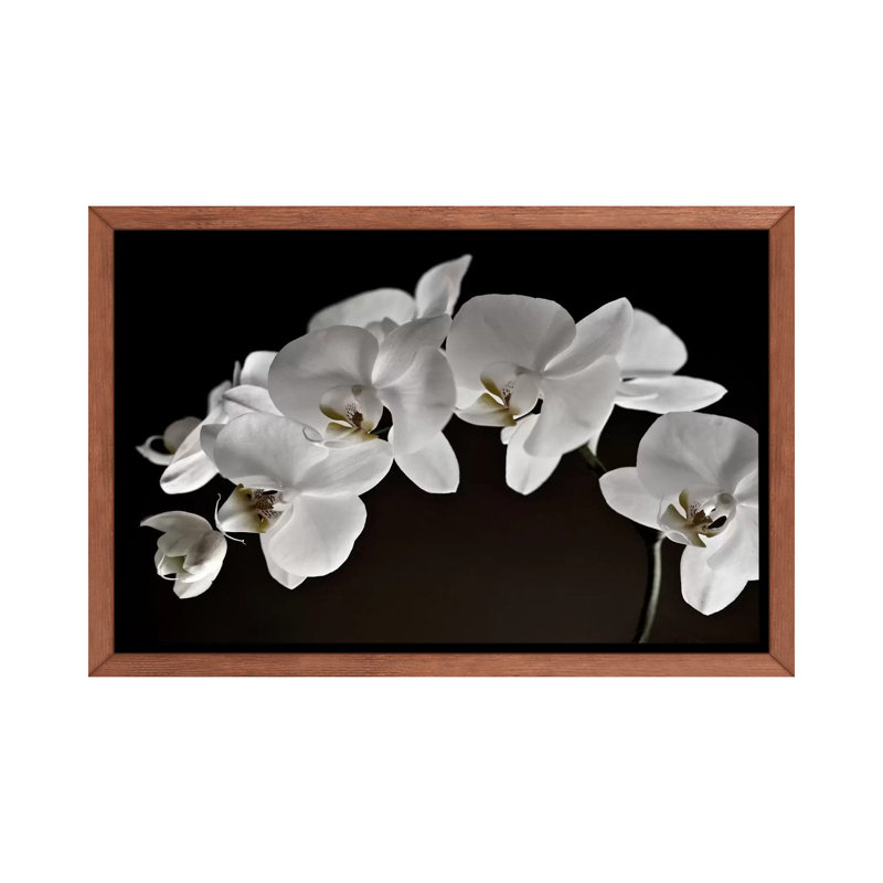 Orchidées - reproduction de photo, Toile avec cadre en bois classique, H 40 po x l 60 po x 1,5 po
