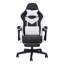 Brayden Studio PC & Racing Game Chair-968549851