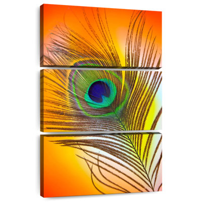 Plume de paon Kerner Glamour