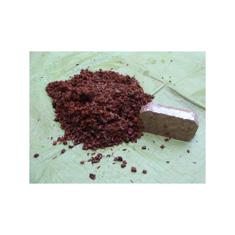  Briques de coco, ensemble de 4