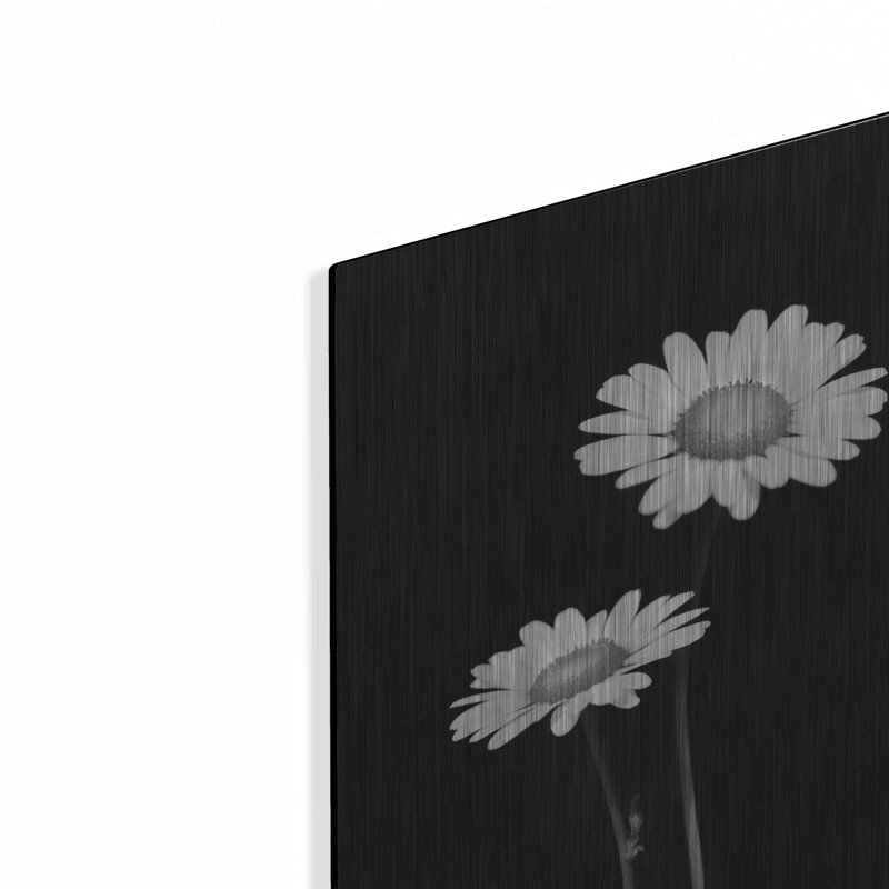 "Paire de marguerites" par Lori Deiter, H 16 po x l 12 po