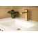 Skylar Single Hole Bathroom Faucet with Drain Assembly