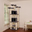 82 Inches Multi-level Big Cat Tree. Tall Multi-cats Tower With 2 Big Cat Condos