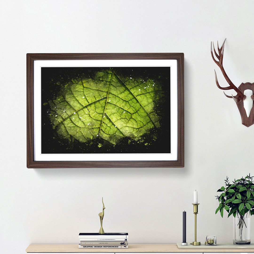 Leaf Roads Paint Splash - Picture Frame Graphic Art