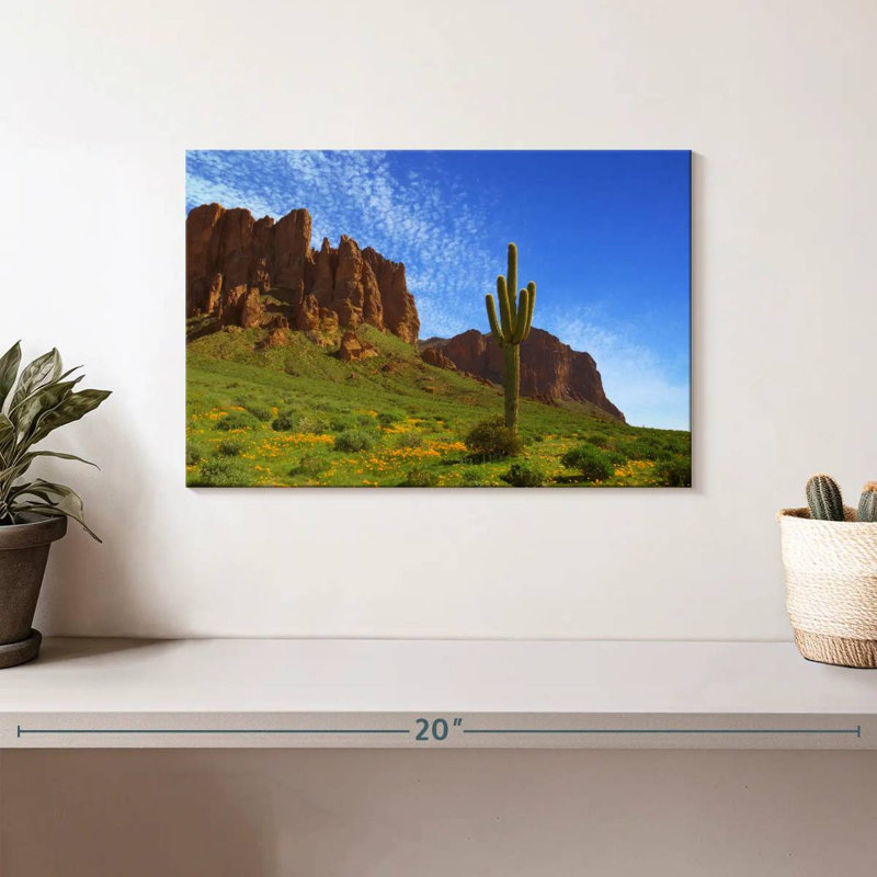 Cactus d'Alvord en vue de prospecteur, H 8 po x l 12 po