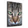 Cat's Eyes - Wrapped Canvas Print