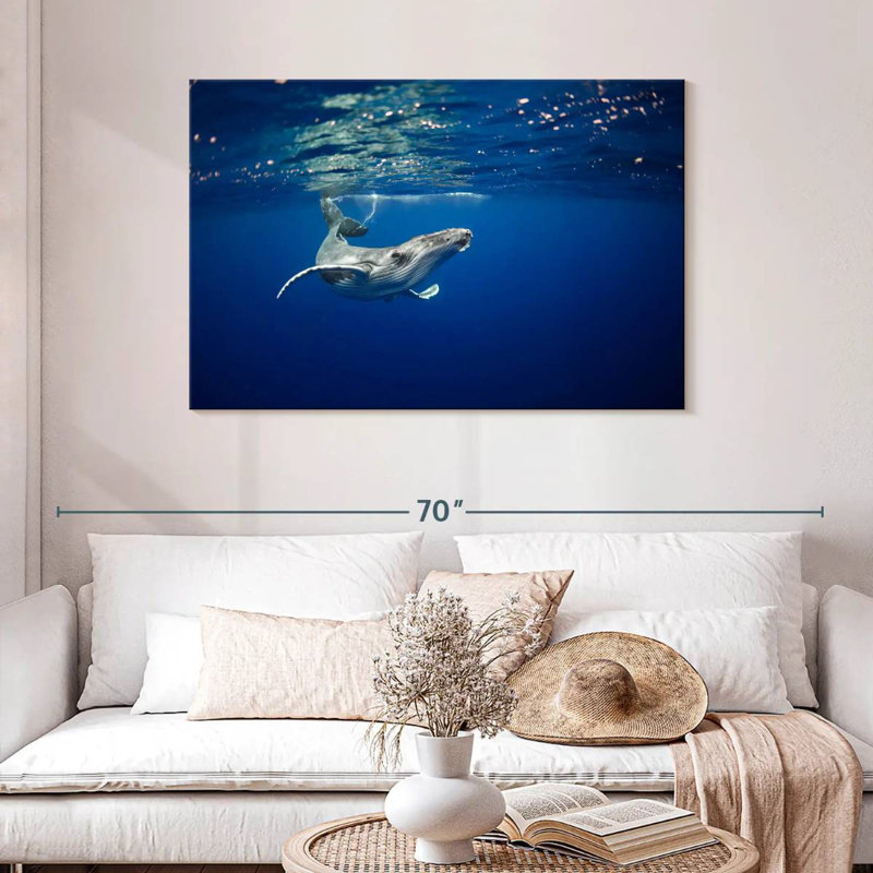 Brampt Humpback Whale In The Sea