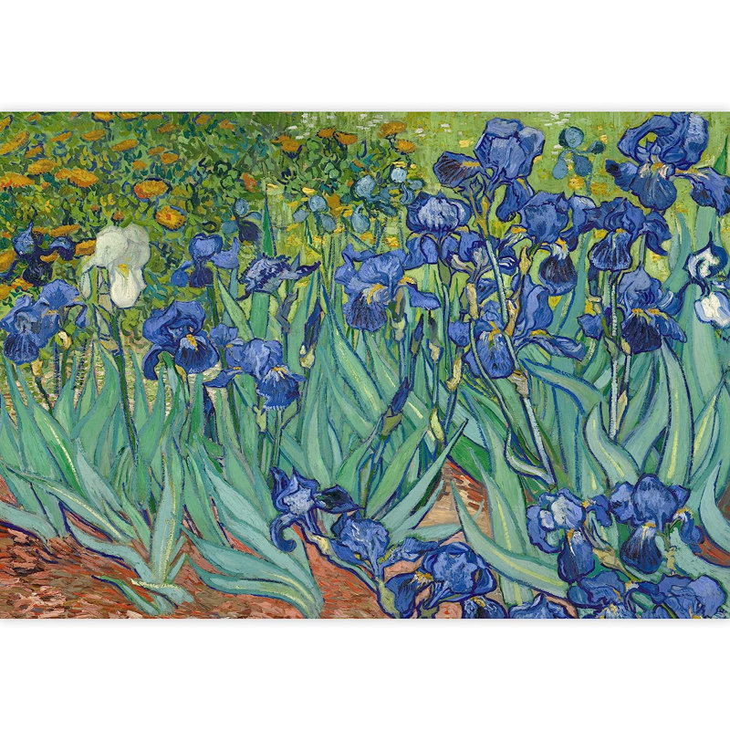 Peel & Stick Abstract Border, 66" L x 96" W