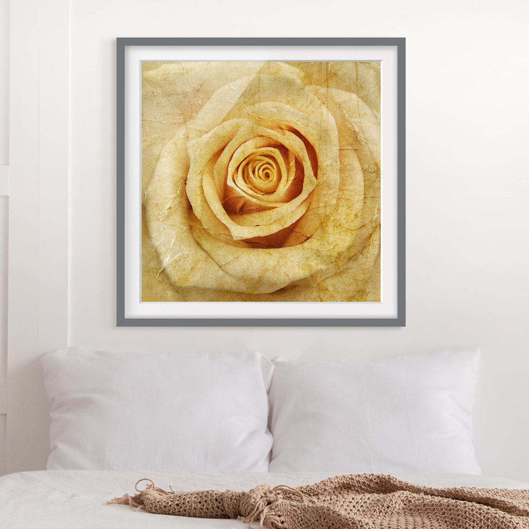 Gerahmtes Papierbild Vintage Rose