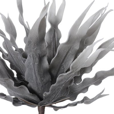 Foam Arrangement
