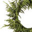 24" LED Battery Operated Timer Natural Touch Norfolk Pine Wreath