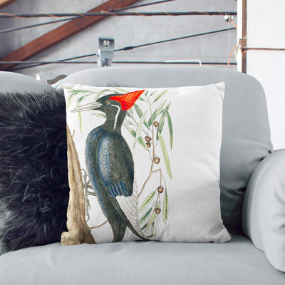 Ivory-Billed Woodpecker by Mark Catesby Cushion with Filling