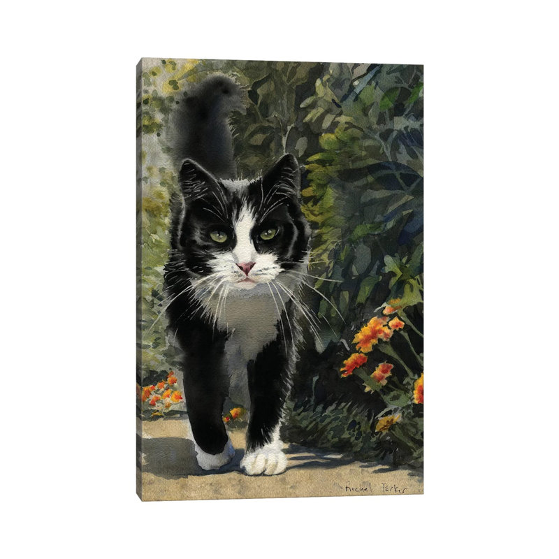 Tuxedo Stroll by Rachel Parker - Painting on Canvas, Wrapped Canvas, 30.48cm H x 20.32cm W x 1.91cm D