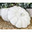Gracie Oaks Lokesh Ceramic Serving Bowl