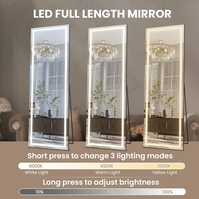 Dimmable LED Full Length Mirror with Lights , 65" x 24"