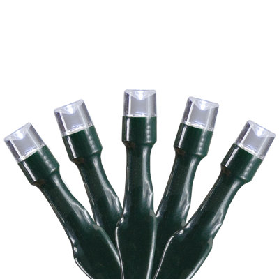 10 - Bulb 48'' Battery Powered Mini String Light