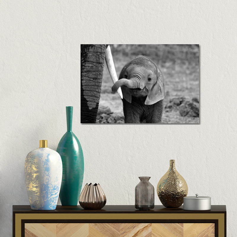 Bjoern Alicke 1 Piece Wrapped Canvas Wall Art, 30.48 cm H x 45.72 cm W