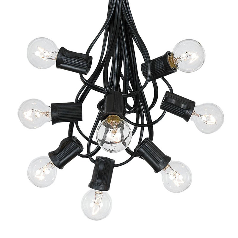 Blanchester Plug-in Globe String Light, Black, 25 Feet