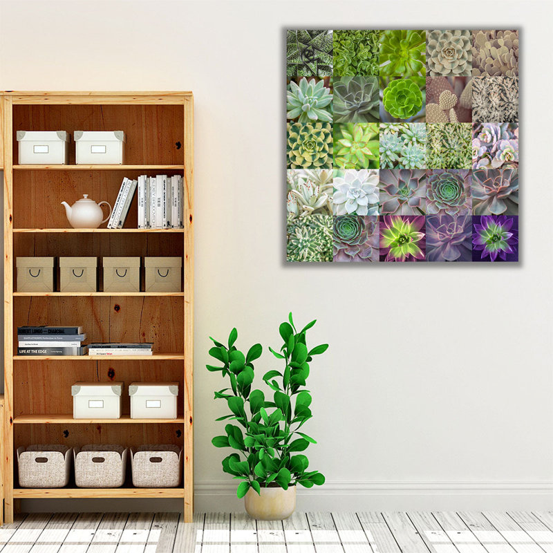 «Succulent Plants Collage», reproduction d'art sur toile, H 12 po x l 12 po