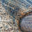 Holbeach Abstract Indoor Rug-64558582