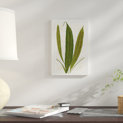 « jardin ferns vi », reproduction d’impression sur toile tendue