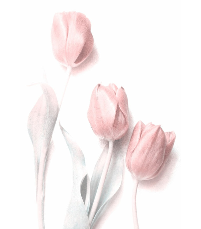 Wrapped Canvas Print, 121.92cm H x 81.28cm W