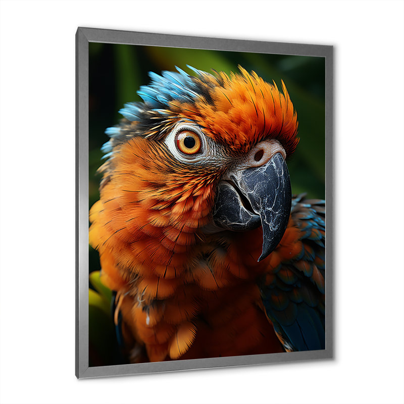 «Vibrant Parrot Portrait II», reproduction sur toile, Cadre photo argenté, H 32 po x l 16 po x P 1 po