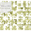 Panneau de papier peint Succulent-74722052-71797735
