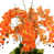Orange / Vert sélectionné