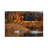 Fall Duet by David Gardiner - Rectangle Print on Canvas-283653432
