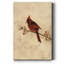 Cardinal sur toile tendue avec châssis - Cardinal prêt à accrocher-68673502