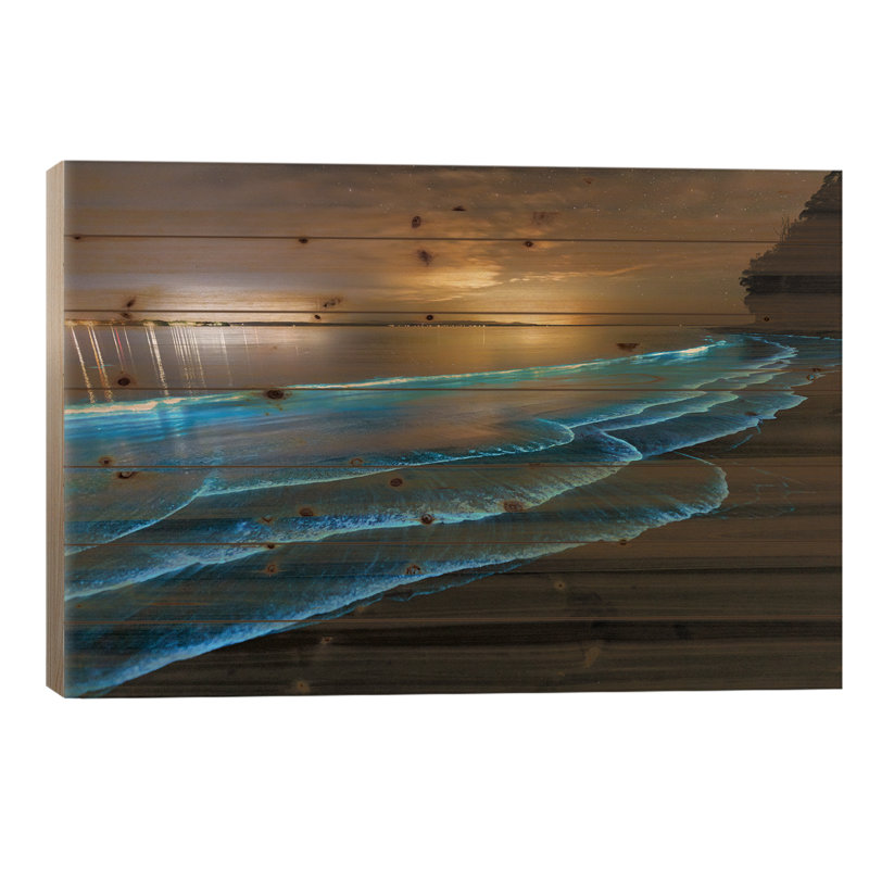 Bioluminescence Jervis Bay, H 26 po x l 40 po x P 1,5 po