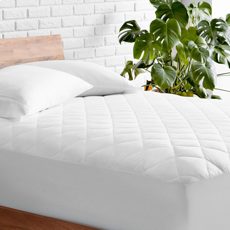 Olivet Symple Stuff Hypoallerganic Fitted Mattress Protector, Single (3')