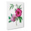 Pink Hibiscus Flowers - Wrapped Canvas-55325426