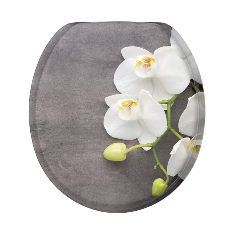 Elongated Toilet Seat and Lid