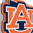 NCAA Auburn Tigers Pennant Sign